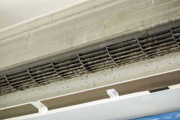 Professional Airduct Cleaning in Marlinton, WV