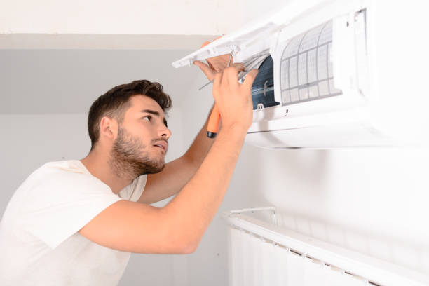 Air Duct Mold Removal in Marlinton, WV